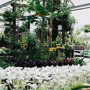 Gartenprojekte | Gärtnerei Bachleitner KG