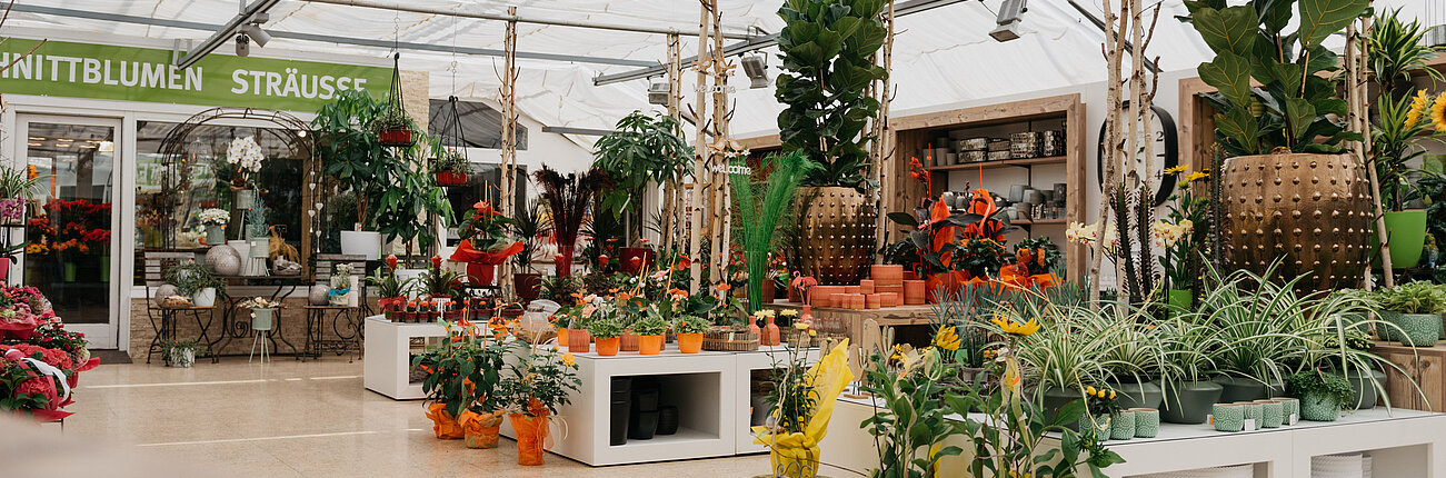 40+ Gartencenter &amp; Pflanzenhandel Andresen Kg, Betrieb eines