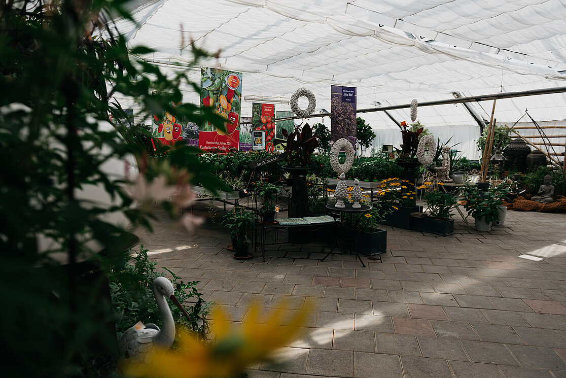 Geschichte Gärtnerei Bachleitner KG